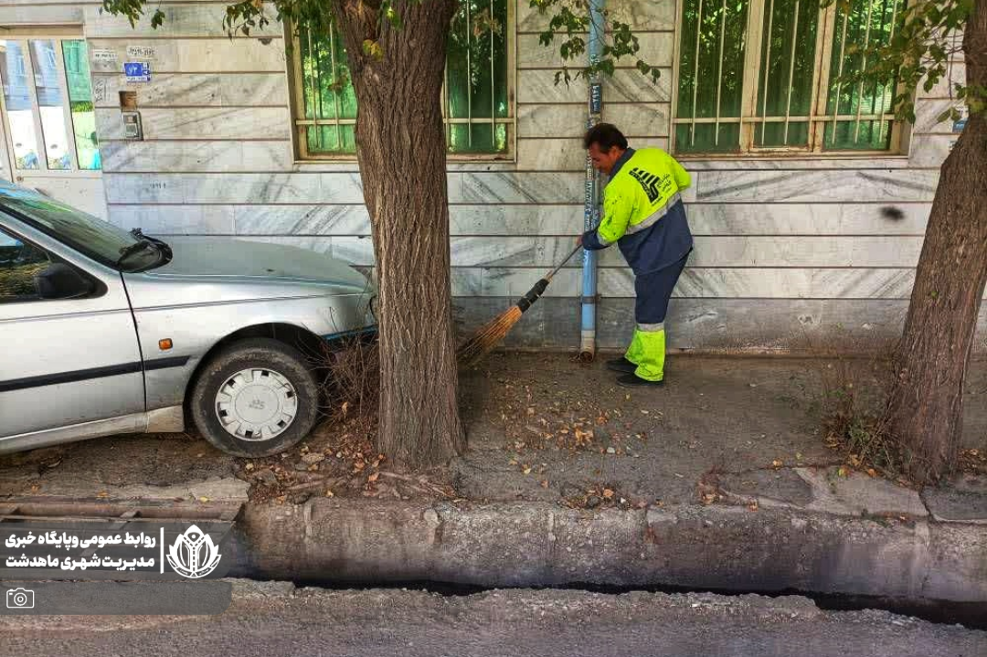 🔘طرح جمعه های پاک در محله خیابان نیاسری اجراء شد‌+تصاویر